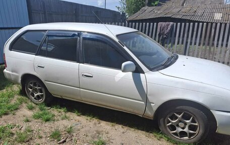 Toyota Corolla, 2001 год, 265 000 рублей, 6 фотография