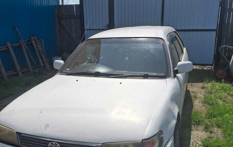 Toyota Corolla, 2001 год, 265 000 рублей, 5 фотография