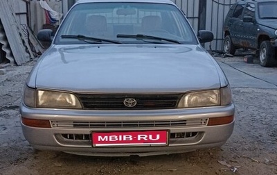 Toyota Corolla, 1995 год, 260 000 рублей, 1 фотография
