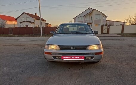 Toyota Corolla, 1995 год, 260 000 рублей, 2 фотография