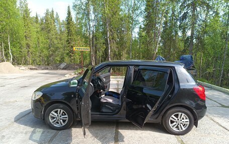 Skoda Fabia II, 2010 год, 430 000 рублей, 24 фотография
