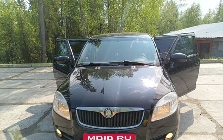 Skoda Fabia II, 2010 год, 430 000 рублей, 26 фотография