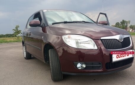 Skoda Fabia II, 2010 год, 570 000 рублей, 18 фотография