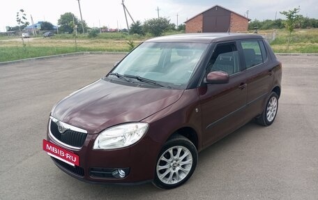 Skoda Fabia II, 2010 год, 570 000 рублей, 21 фотография
