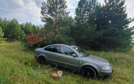Volkswagen Passat B5+ рестайлинг, 2002 год, 635 000 рублей, 12 фотография