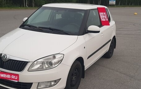 Skoda Fabia II, 2012 год, 450 000 рублей, 10 фотография