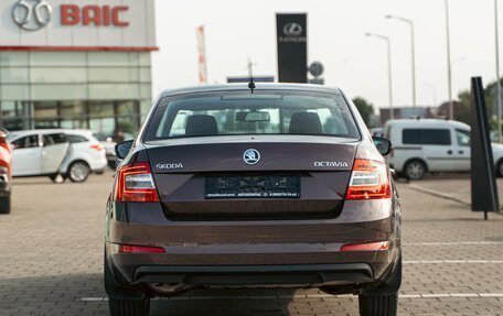 Skoda Octavia, 2016 год, 1 255 000 рублей, 5 фотография