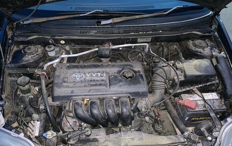 Toyota Corolla, 2001 год, 620 000 рублей, 14 фотография