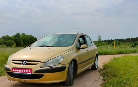 Peugeot 307 I, 2003 год, 240 000 рублей, 1 фотография