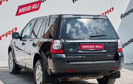 Land Rover Freelander II рестайлинг 2, 2010 год, 1 300 000 рублей, 4 фотография