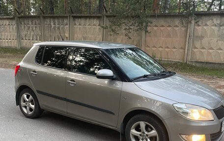 Skoda Fabia II, 2010 год, 650 000 рублей, 2 фотография