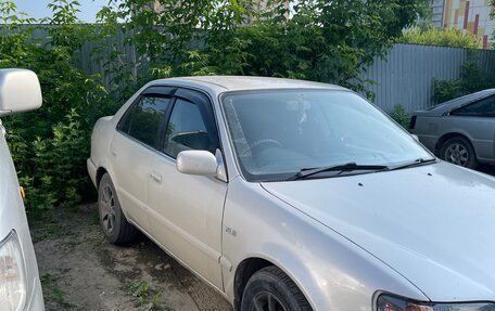 Toyota Corolla, 1999 год, 380 000 рублей, 4 фотография
