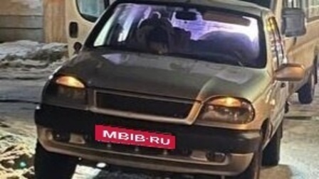 Chevrolet Niva I рестайлинг, 2005 год, 220 000 рублей, 1 фотография