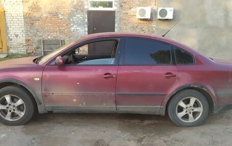 Volkswagen Passat B5+ рестайлинг, 1999 год, 270 000 рублей, 4 фотография