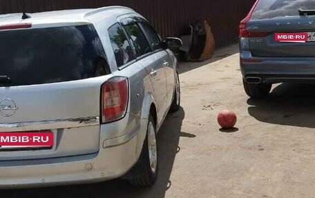Opel Astra H, 2007 год, 370 000 рублей, 9 фотография