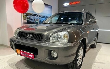 Hyundai Santa Fe III рестайлинг, 2004 год, 549 000 рублей, 1 фотография