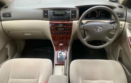 Toyota Corolla, 2002 год, 599 999 рублей, 1 фотография