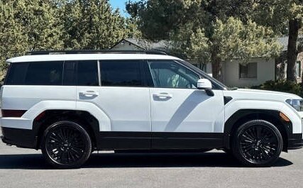 Hyundai Santa Fe IV, 2025 год, 6 755 000 рублей, 5 фотография