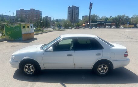 Toyota Corolla, 1999 год, 210 000 рублей, 3 фотография
