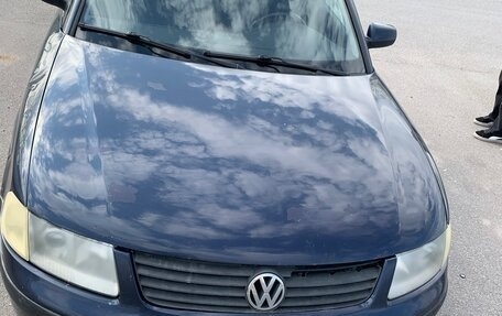 Volkswagen Passat B5+ рестайлинг, 1999 год, 230 000 рублей, 2 фотография