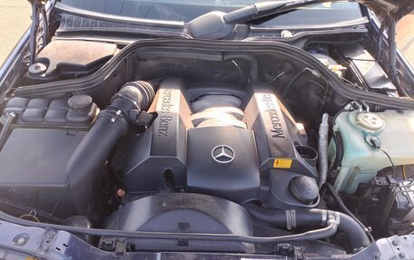 Mercedes-Benz C-Класс, 1998 год, 480 000 рублей, 4 фотография