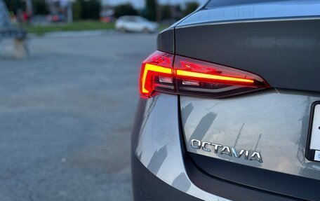Skoda Octavia IV, 2022 год, 3 490 000 рублей, 12 фотография