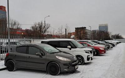 Peugeot 207 I, 2009 год, 480 000 рублей, 1 фотография