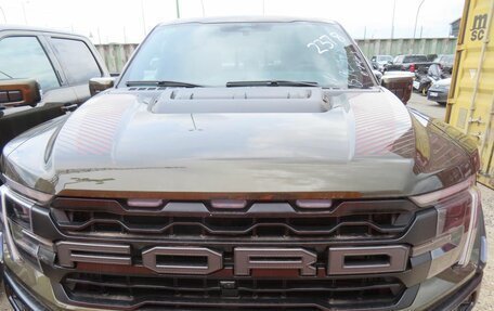 Ford F-150, 2024 год, 13 770 000 рублей, 3 фотография
