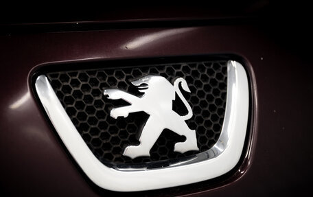 Peugeot 307 I, 2006 год, 449 000 рублей, 9 фотография