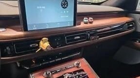 Lincoln Aviator II, 2023 год, 5 800 240 рублей, 12 фотография