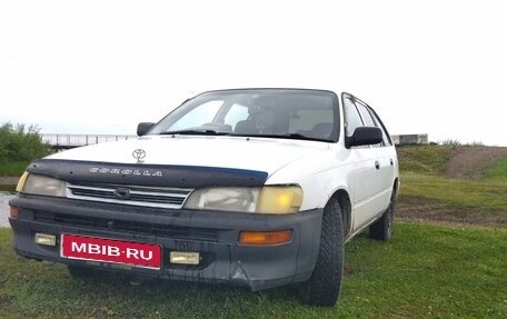 Toyota Corolla, 2000 год, 255 000 рублей, 1 фотография