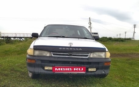 Toyota Corolla, 2000 год, 255 000 рублей, 2 фотография