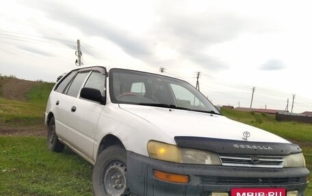 Toyota Corolla, 2000 год, 255 000 рублей, 3 фотография