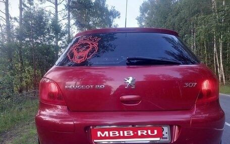Peugeot 307 I, 2004 год, 410 000 рублей, 9 фотография