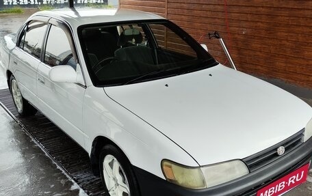 Toyota Corolla, 1993 год, 375 000 рублей, 4 фотография
