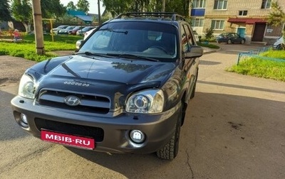 Hyundai Santa Fe III рестайлинг, 2005 год, 700 000 рублей, 1 фотография