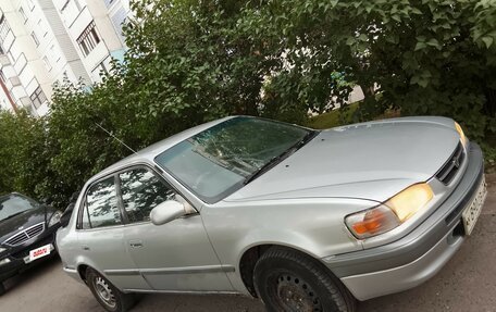 Toyota Corolla, 1996 год, 250 000 рублей, 3 фотография