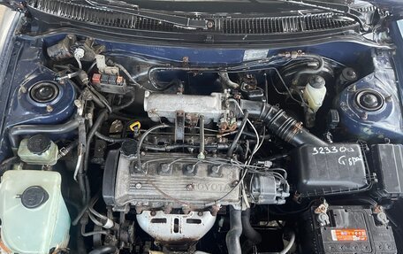 Toyota Corolla, 1995 год, 155 000 рублей, 14 фотография