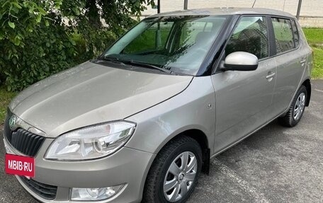 Skoda Fabia II, 2012 год, 615 000 рублей, 8 фотография