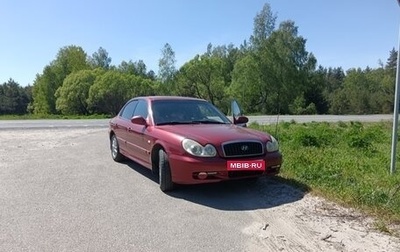 Hyundai Sonata IV рестайлинг, 2004 год, 370 000 рублей, 1 фотография