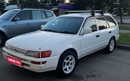 Toyota Corolla, 2000 год, 350 000 рублей, 1 фотография