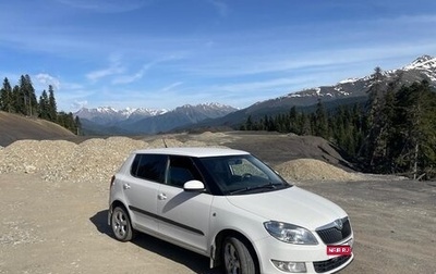 Skoda Fabia II, 2010 год, 750 000 рублей, 1 фотография