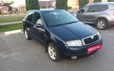 Skoda Fabia I, 2001 год, 289 000 рублей, 1 фотография