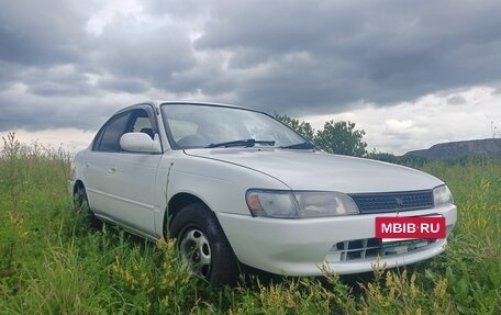 Toyota Corolla, 1994 год, 330 000 рублей, 5 фотография