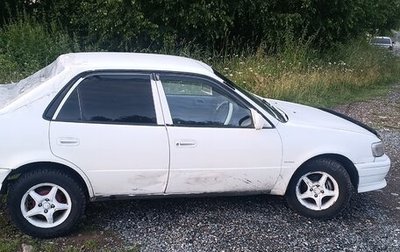 Toyota Corolla, 1999 год, 300 000 рублей, 1 фотография