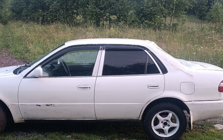 Toyota Corolla, 1999 год, 300 000 рублей, 3 фотография