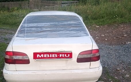 Toyota Corolla, 1999 год, 300 000 рублей, 2 фотография