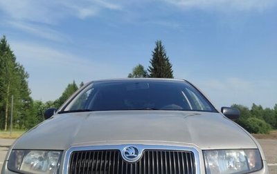 Skoda Fabia I, 2006 год, 370 000 рублей, 1 фотография
