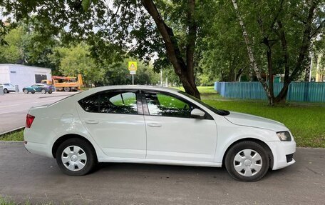 Skoda Octavia, 2017 год, 5 фотография