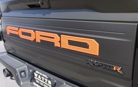 Ford F-150, 2025 год, 16 900 000 рублей, 19 фотография
